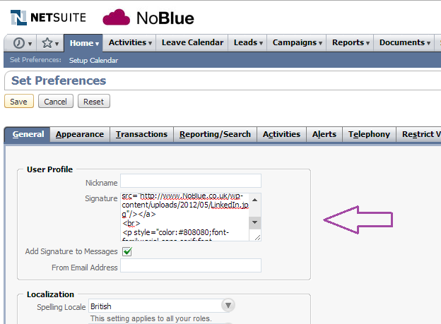 NetSuite user profile
