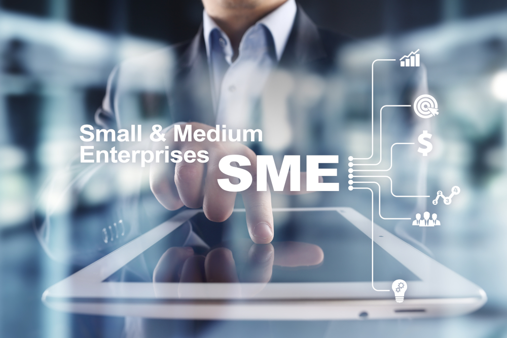 Why Small Businesses Need ERP Software